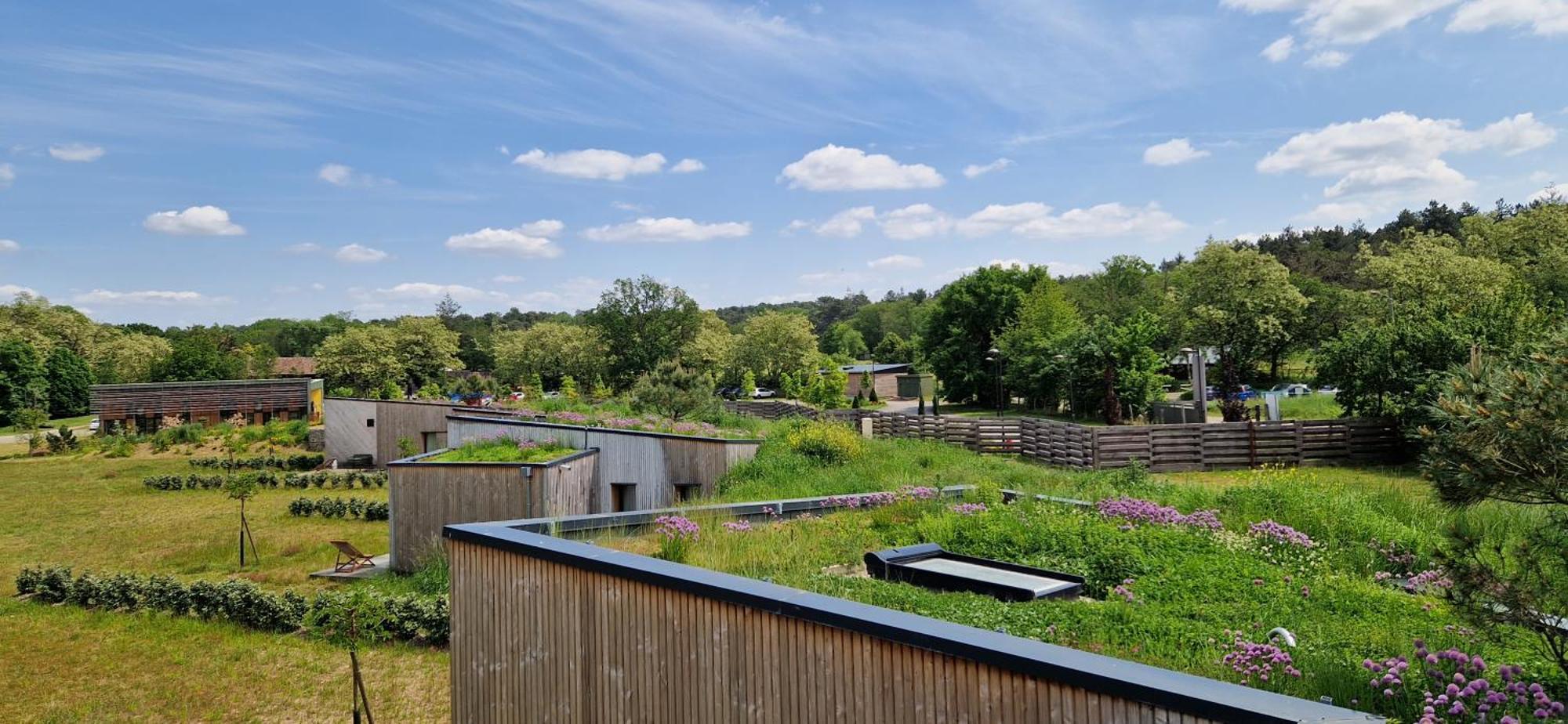Domaine De L'Epau Eco-Resort Yvré-lʼÉvêque Εξωτερικό φωτογραφία
